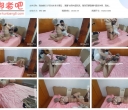 我的媳妇 多层丝袜套头驷马 、踮脚 绞刑内置玩具，踮到双腿直颤抖直接失禁【592MB】