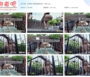 半岛束艺 澡堂的第五位客人~布玛【305MB】