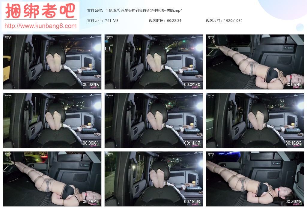 半岛束艺 汽车头枕到底有多少种用法~矢崎【760MB】